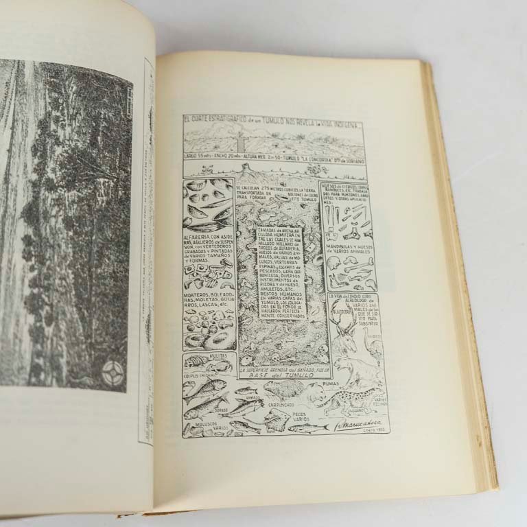 Item 2111842 - Image 1