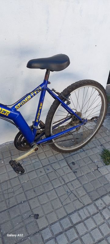 Item 900855 - Image 2