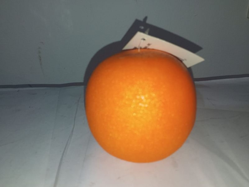 Item 854931 - Image 1