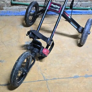 Carro de Golf Bag Boy Compact 3 de 3 Ruedas - imagen 3