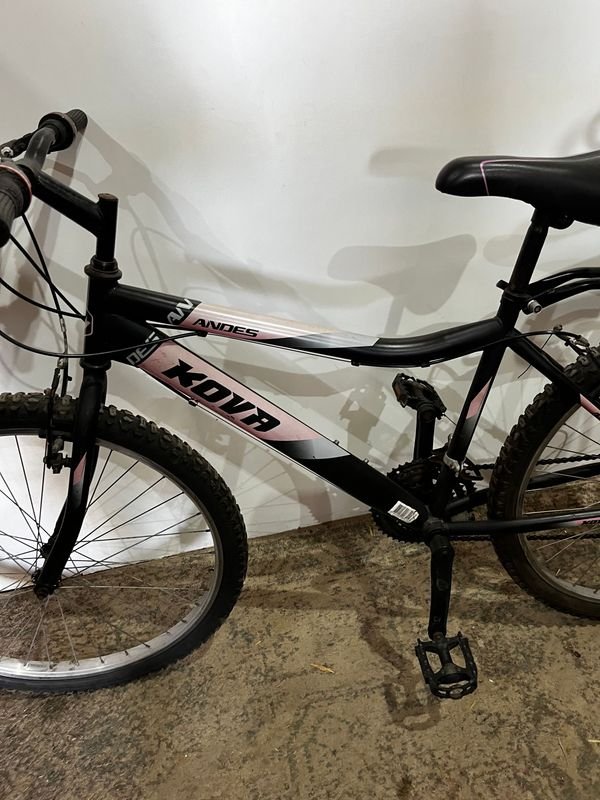 Item 876915 - Image 3