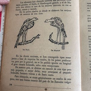 Libro "Cria del Canario y Demás Pájaros Cantores y de Adorno" por Estanislao Guarro - imagen 4