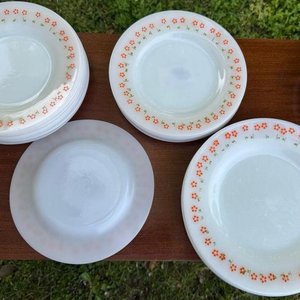 1 juego 25 platos en vajilla opalina vintage origen Argentino marca Rigopal (platos llanos y hondos material ultra resistente ideal para el uso diario) - imagen 2