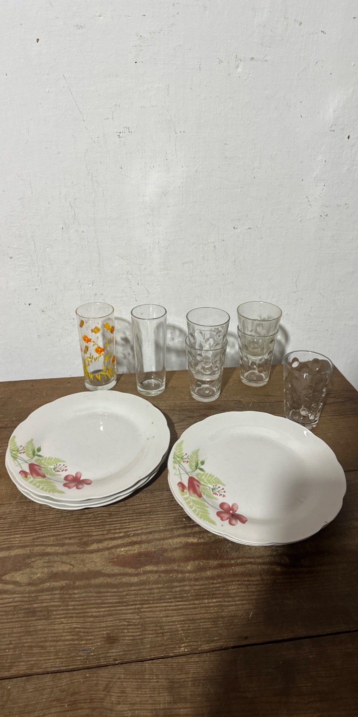 Set de 6 Platos y Vasos con Diseño Floral