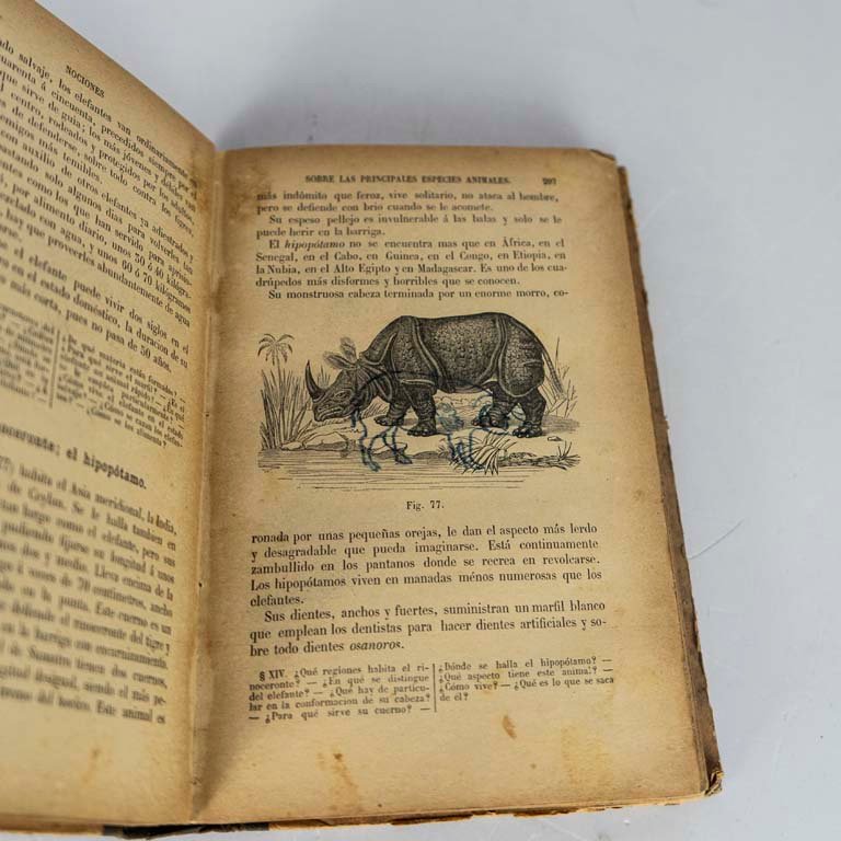 Item 2111626 - Image 1