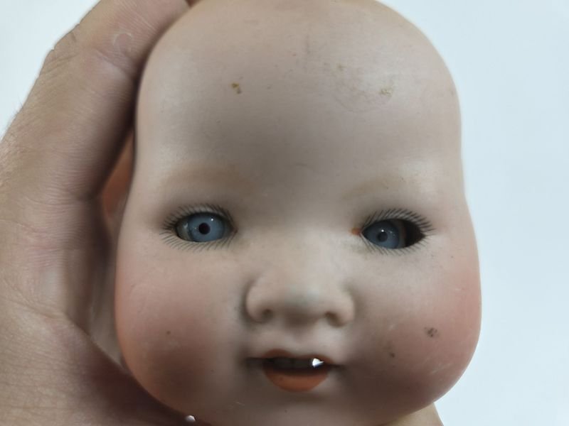 Item 830012 - Image 4