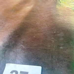 Lote anterior: Lote de Cuero Natural Napa y Piel Estampada