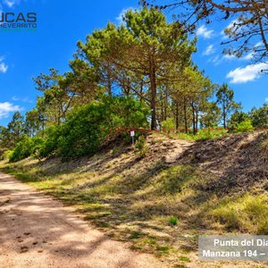 Terreno en Punta del Diablo con Vista al Mar, 510 m2, a 5 Cuadras de Playa La Viuda - imagen 5