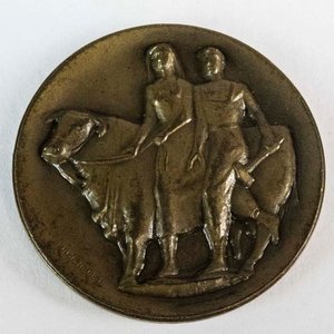 Medalla Cincuentenario Banco República Oriental del Uruguay 1946 Bronce - imagen 1