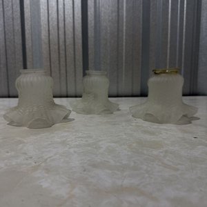 Set de 3 Pantallas para Lámparas de Techo o Apliques, Vidrio Esmaltado - imagen 8