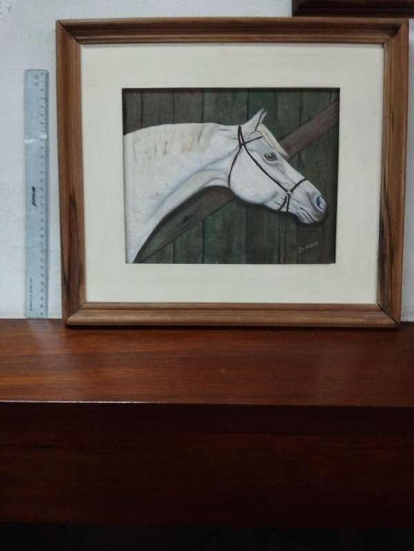 Cuadro de Caballo enmarcado