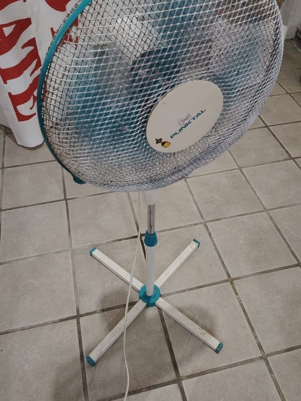 Item 881325 - Image 0