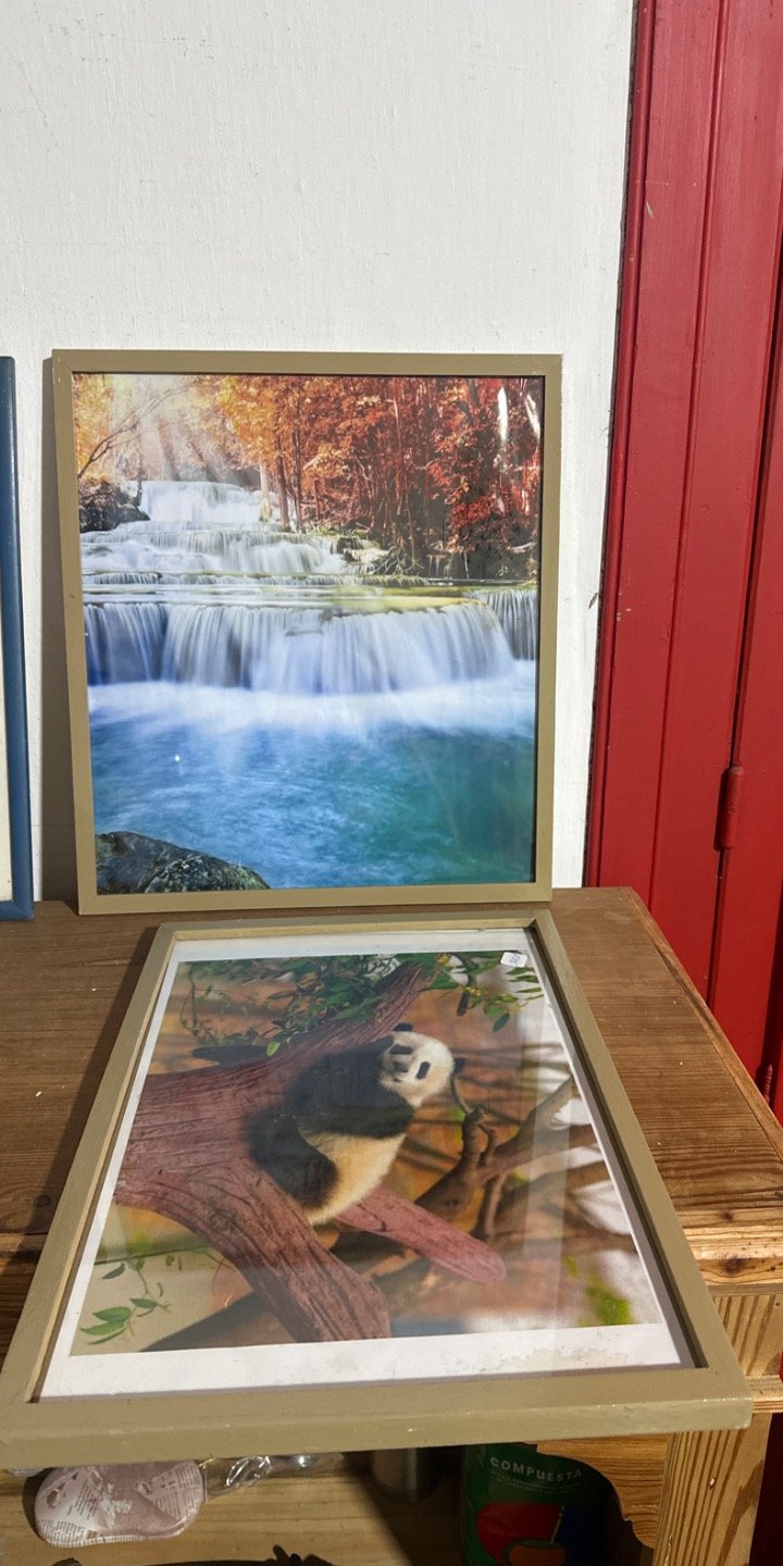 Dos Cuadros Decorativos con Paisaje y Panda