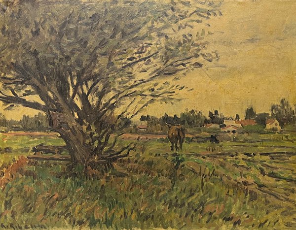 Alceu Ribeiro "Paisaje con Vaca" Óleo sobre Tela 55 x 70 cm - imagen 1