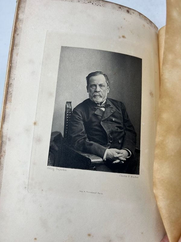 Item 924235 - Image 2