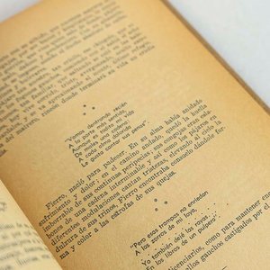 Mi Gaucho: Anotaciones sobre Martín Fierro, firmado por Edualdo G. Montes - imagen 2