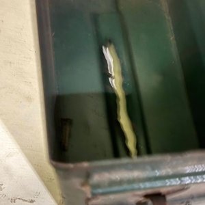 Caja Metálica Verde para Municiones - imagen 2