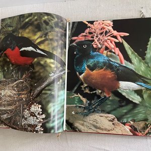 Enciclopedia de los Animales - Volumen Cuarto - imagen 5