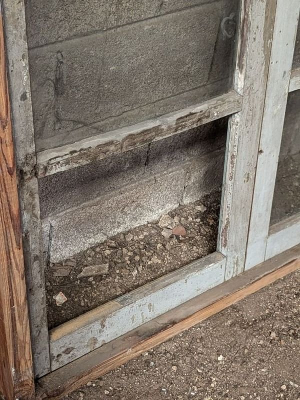 Item 899962 - Image 3