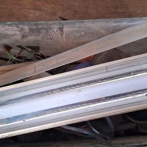 Pecera Completa con Luz y Caracoles Decorativos - imagen 3