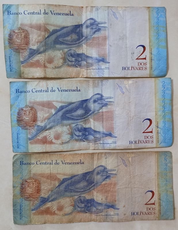 Item 837381 - Image 1