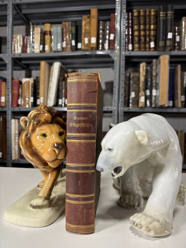 Lote anterior: Libro de Historia de la Tierra en Alemán con Figuritas