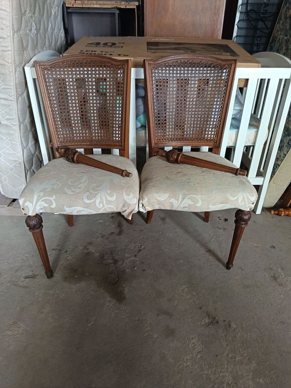Par de Sillas Estilo Inglés con Respaldo de Caño y Asiento Estampado - imagen 1