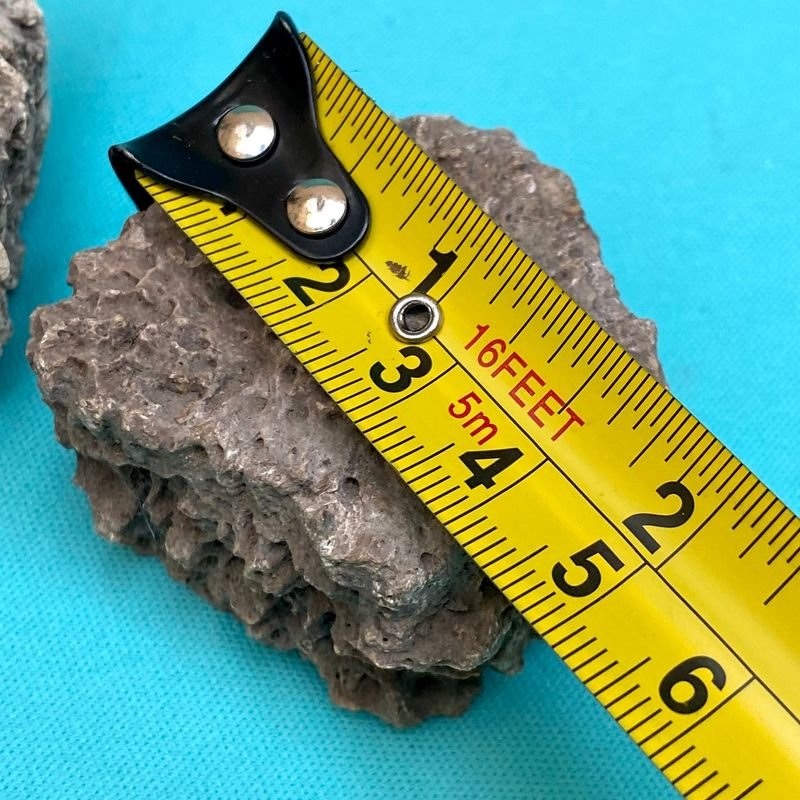 Item 895830 - Image 9