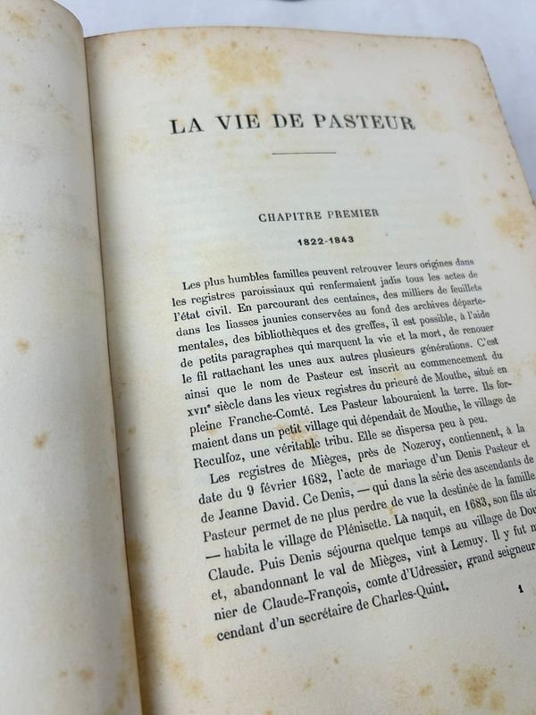 Item 924235 - Image 4