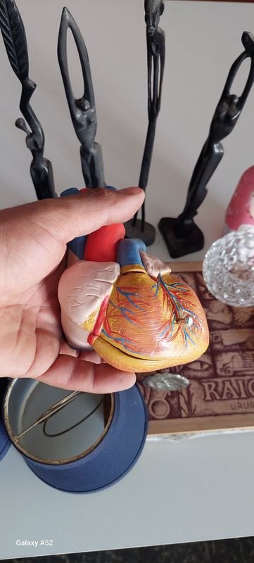 Item 878219 - Image 6