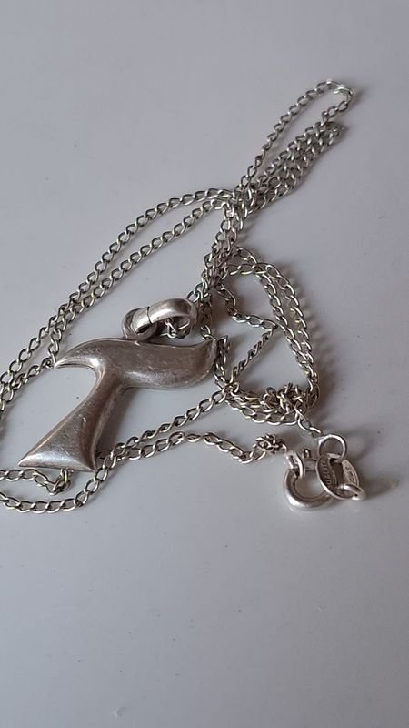Cadena de plata larga con dije - imagen 2