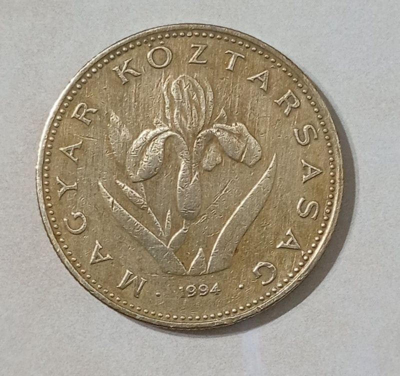 Item 854559 - Image 1