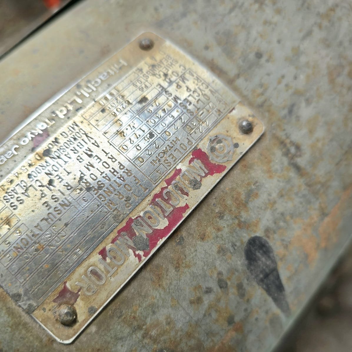 Item lote-66-sensitiva - Image 2