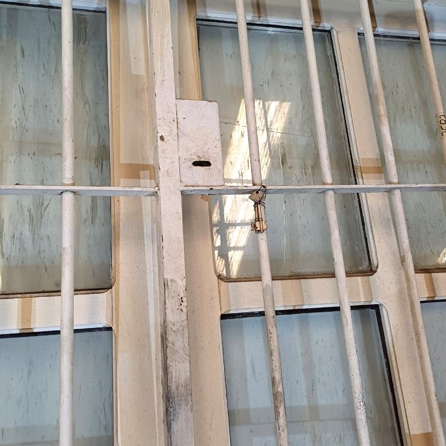 Puerta de dos hojas con diseño de tablero y vidrio - imagen 8
