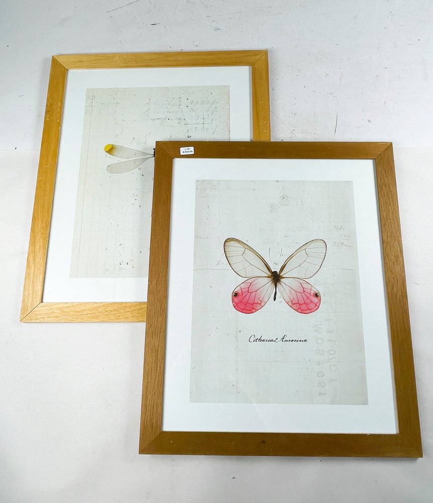 Item 495779 - Image 0