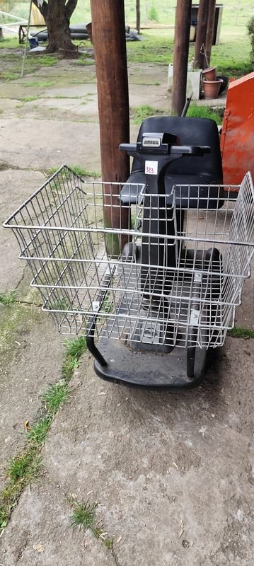 Carrito Eléctrico de Movilidad con Canasto