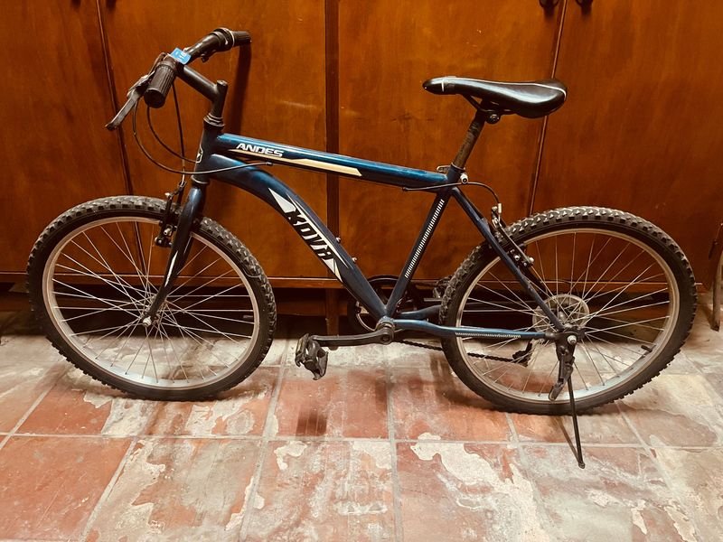 Bicicleta de Montaña Kova Andes Rod 24