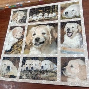 Puzzle Plastificado Completo de Golden Retrievers Bebés - imagen 2