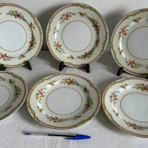 Juego de 6 Platos de Porcelana con Flores y Borde Dorado - imagen 3