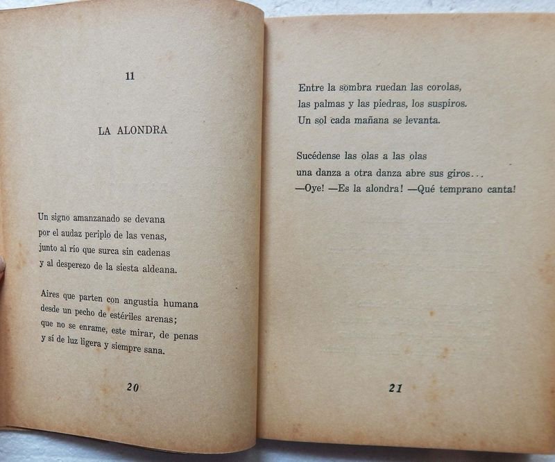 Libro de poesías de Uruguay González Poggi - imagen 4