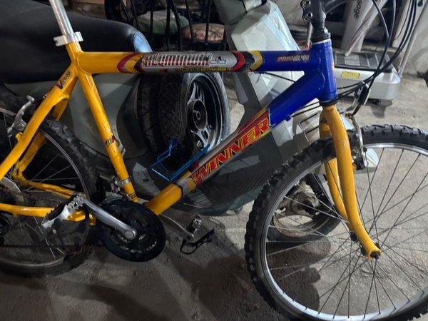 Bicicleta Winerr en Excelente Estado - imagen 1