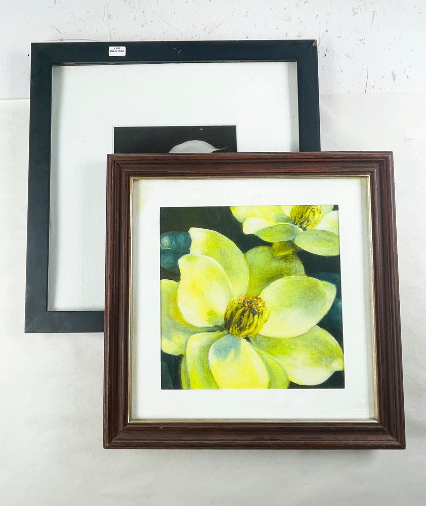 Dos Láminas Florales Enmarcadas: Magnolia y Cala