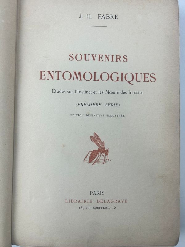 Item 924193 - Image 2