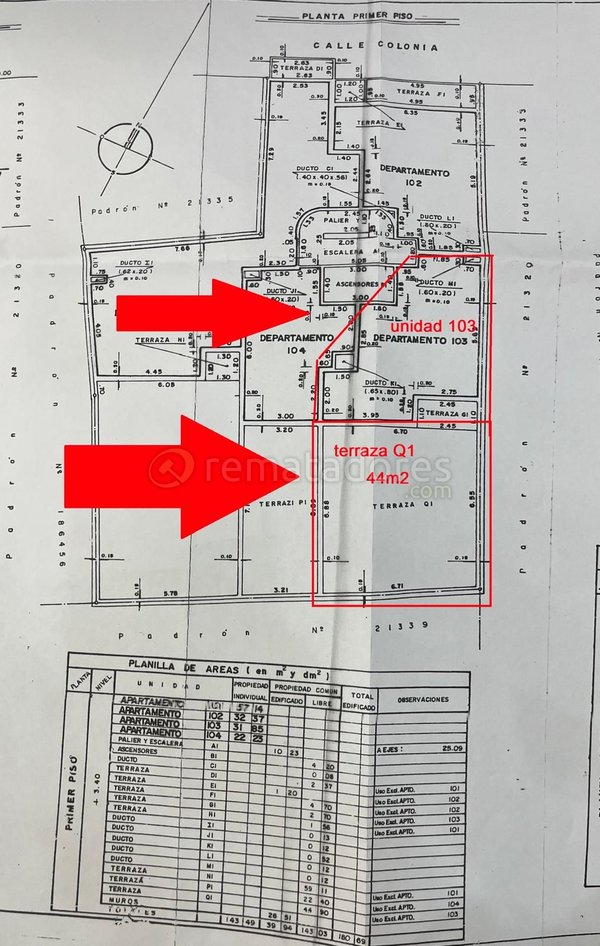 Plano de Edificio con Departamentos y Observaciones