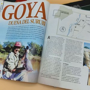 Lote de 4 Revistas de Pesca y Náutica: Panorama de Pesca, El Pato, Catálogos Casa Japón y Zodiac - imagen 19