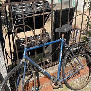 Lote anterior: Bicicleta de Paseo Azul