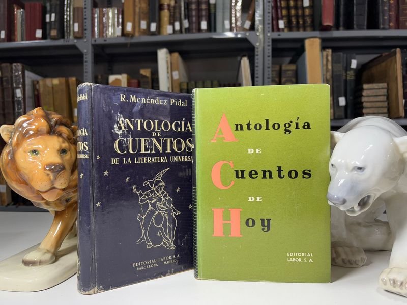 Item 889519 - Image 0