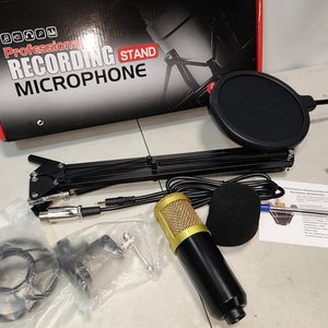 Micrófono de Condensador Profesional con Soporte Articulado y Filtro Antipop - imagen 3