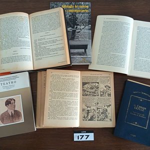 Lote de 12 Libros de Literatura Universal, Clásicos y Contemporáneos - imagen 4