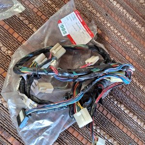 Arnés de cables puerta delantera izquierda Haima - imagen 4